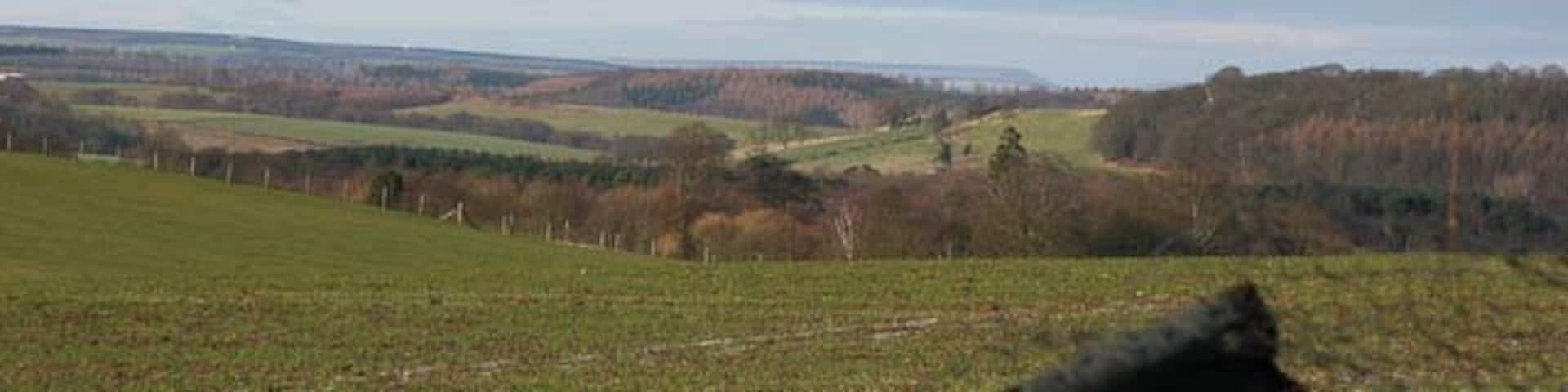Towards the White Horse from The Arboretum, Kew at Castle Howard