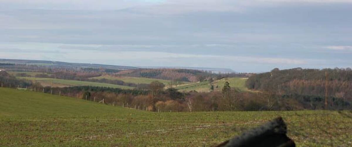 A rolling hilly landscape with a clear sky.