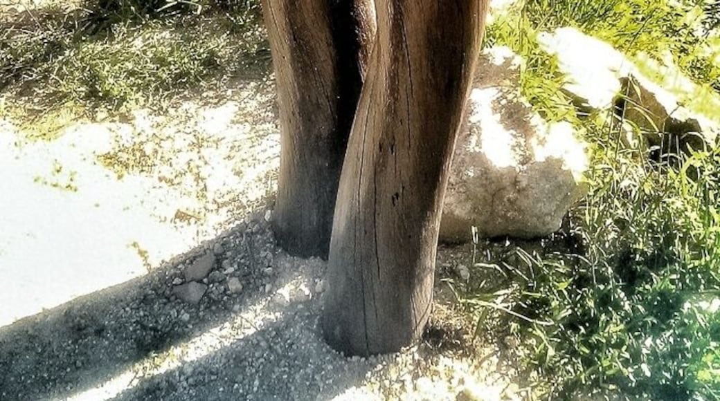 At the Gêres Natural Park in Portugal, apart from nice nature, you can find some art...kind off!