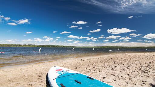 A paddle board lays on the sandy beach of Skeleton lake Alberta Canada.