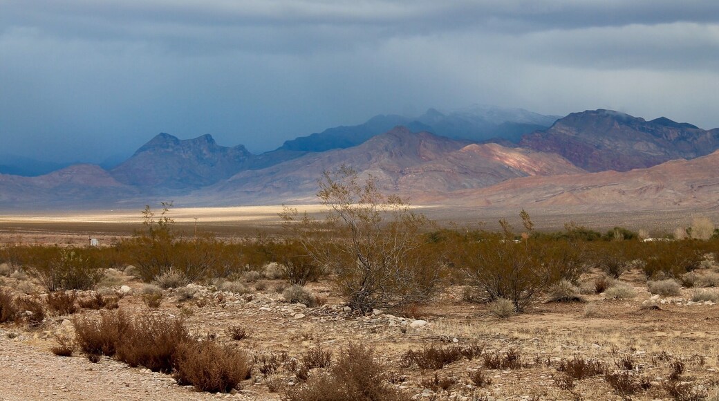 An afternoon storm rolling in over the mountains, just to the southwest of The Virgin River Recreation Area. #Mountains #GreatOutdoors #Nature