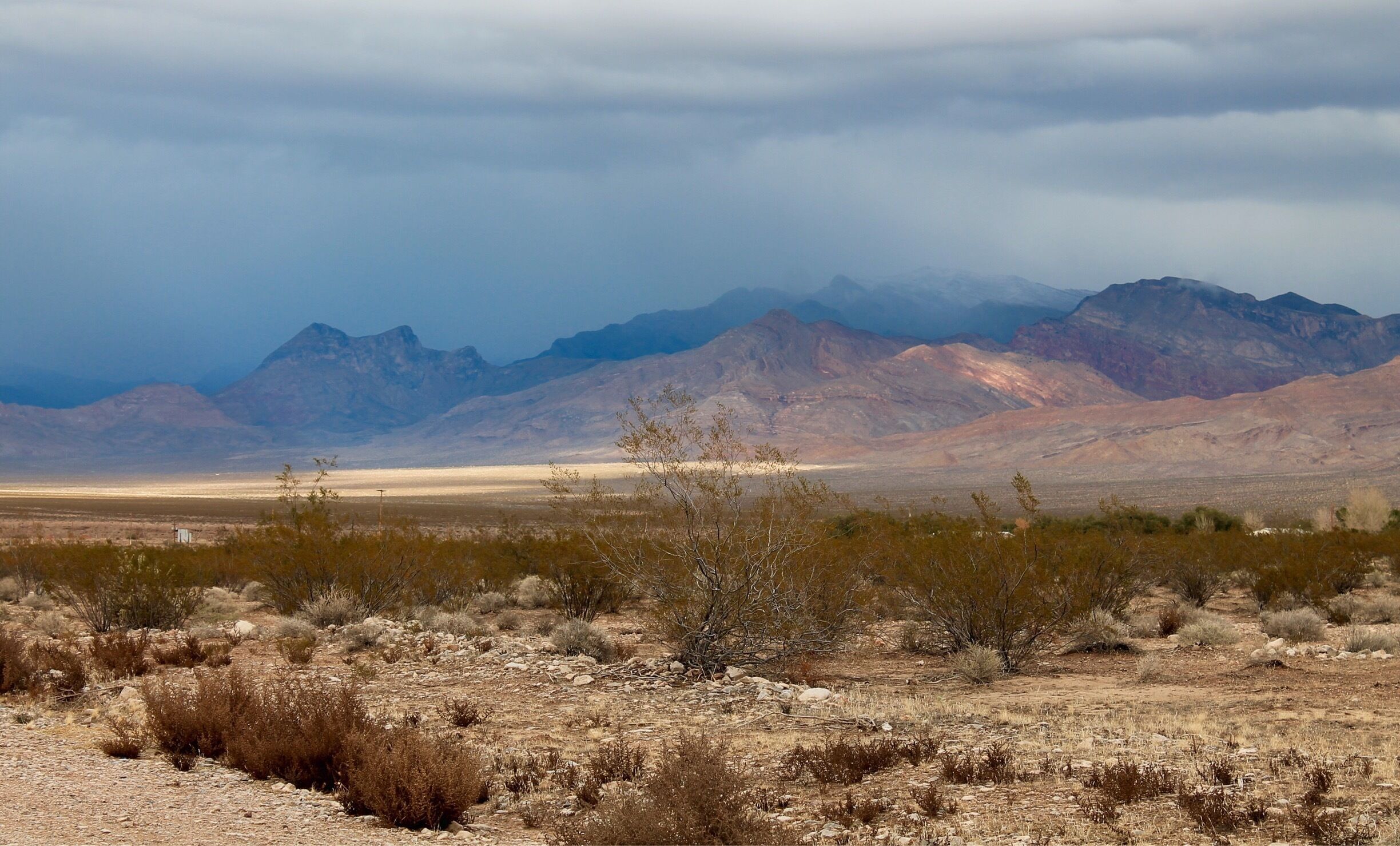 A desert landscape with sparse vegetation and distant mountains under a cloudy sky.