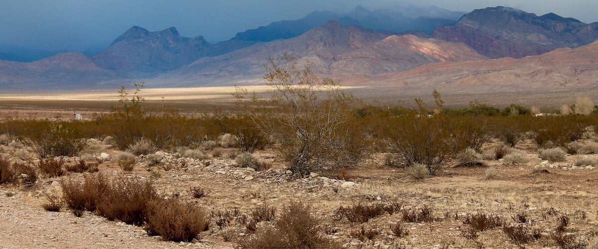 A desert landscape with sparse vegetation and distant mountains under a cloudy sky.