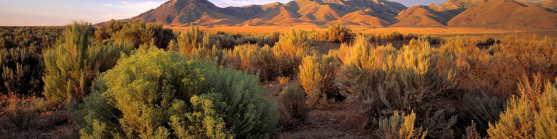 USA, Nevada, Denio. Dusk settles over the Bilk Creek Mountains, Denio, Nevada.