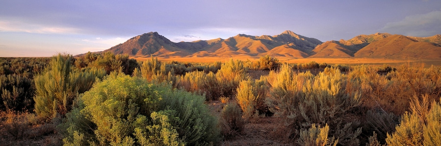 USA, Nevada, Denio. Dusk settles over the Bilk Creek Mountains, Denio, Nevada.
