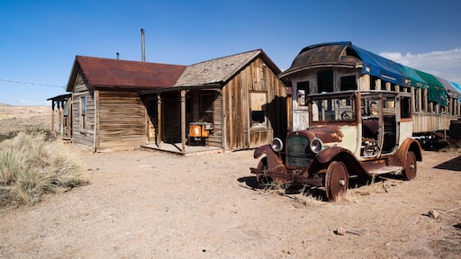 Goldfield