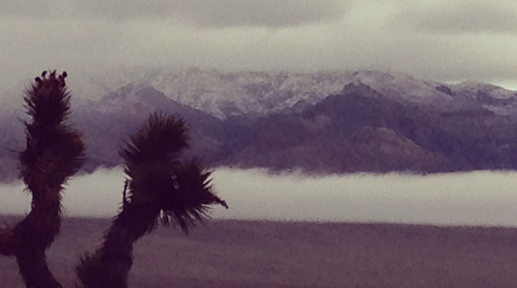 Nevada in the morning