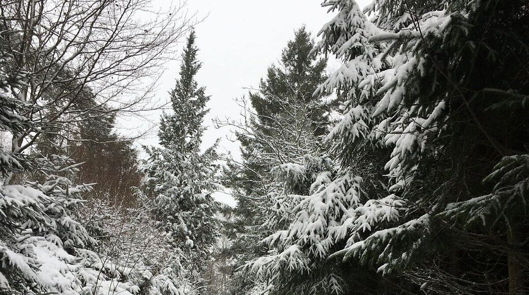 Snow in #mousny #lesardennes #jump #belgium
