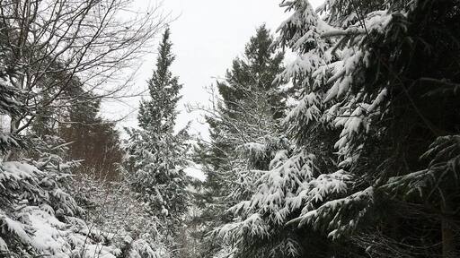 Snow in #mousny #lesardennes #jump #belgium