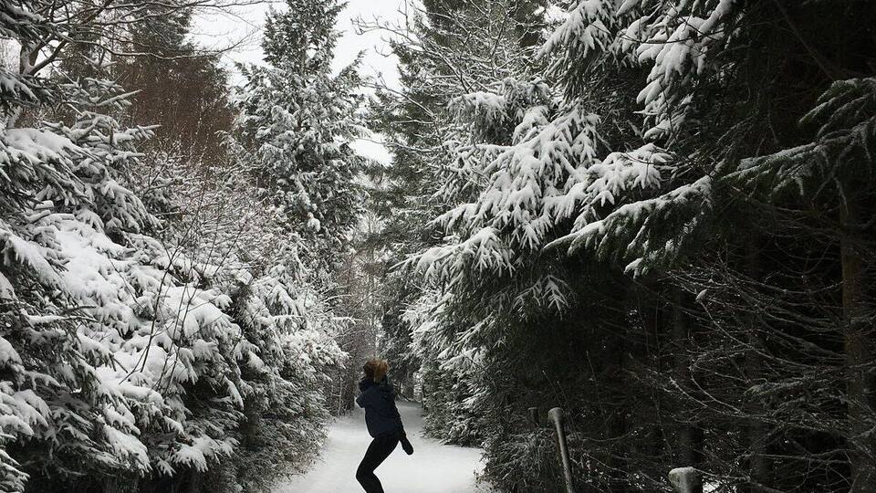 A snow-covered forest path with evergreen trees on both sides.