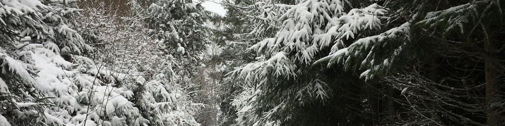 Snow in #mousny #lesardennes #jump #belgium