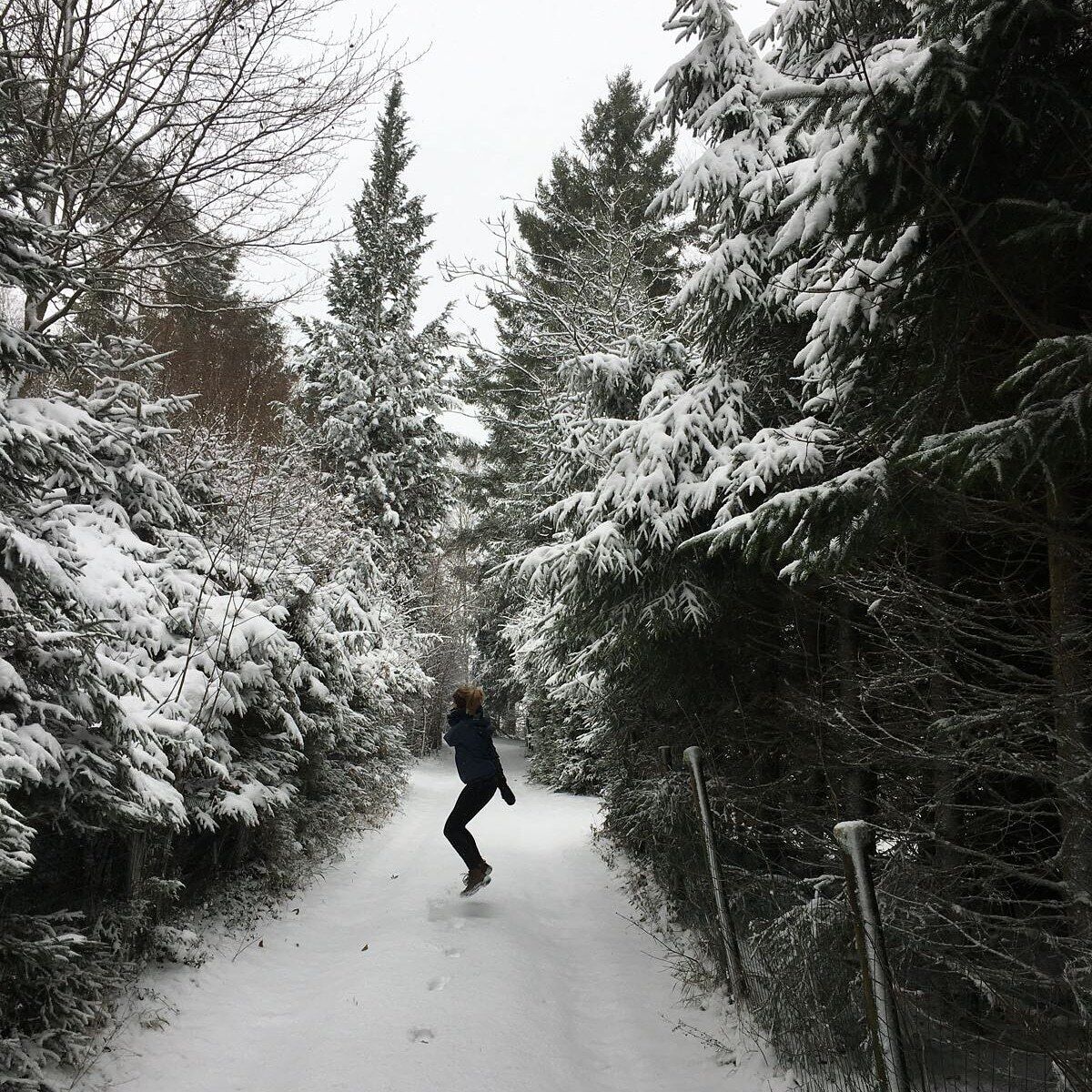 A snow-covered forest path with evergreen trees on both sides.