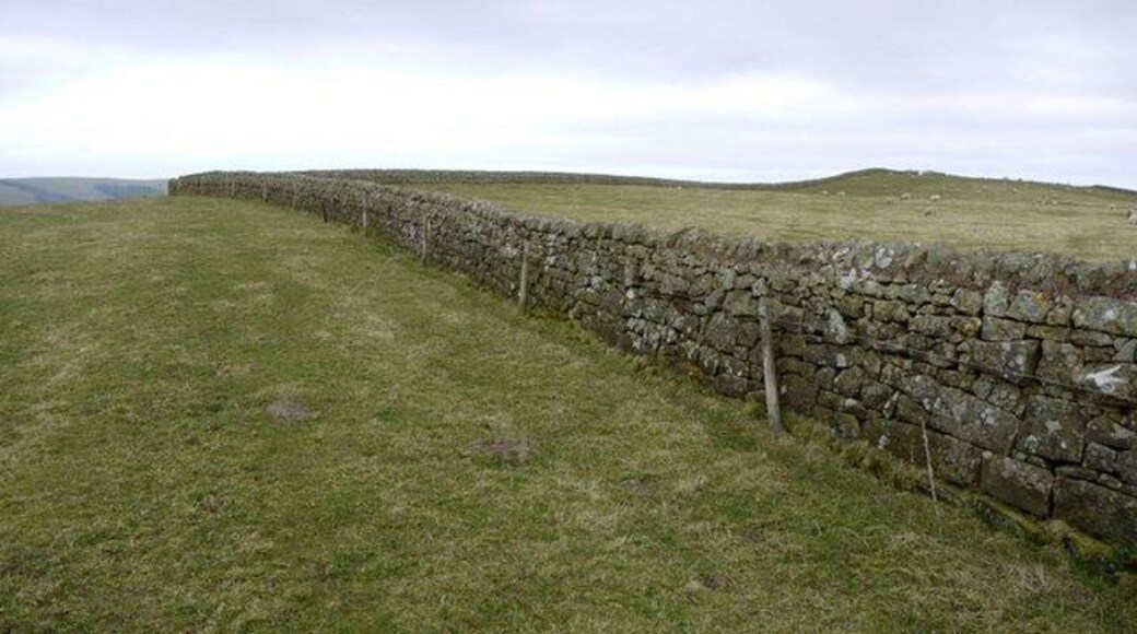 Wall west of Blackchester Hill