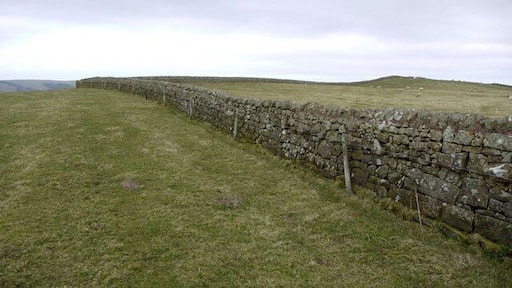 Wall west of Blackchester Hill