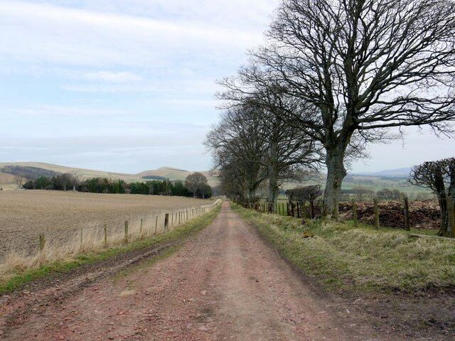 Track between Northfieldhead and Prendwick Old Fawdon Hill can be seen in the distance just left of centre