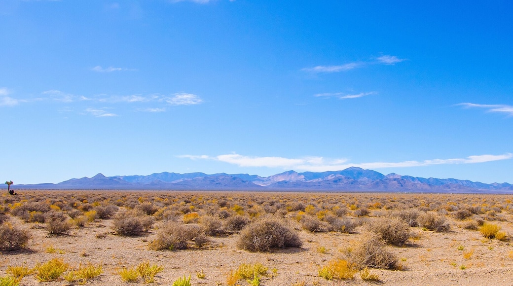 Desert panorama near Area 51