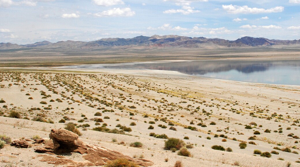 mountains and Walker Lake in Nevada
