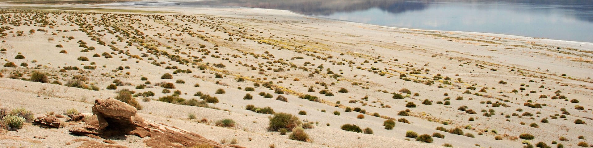 mountains and Walker Lake in Nevada
