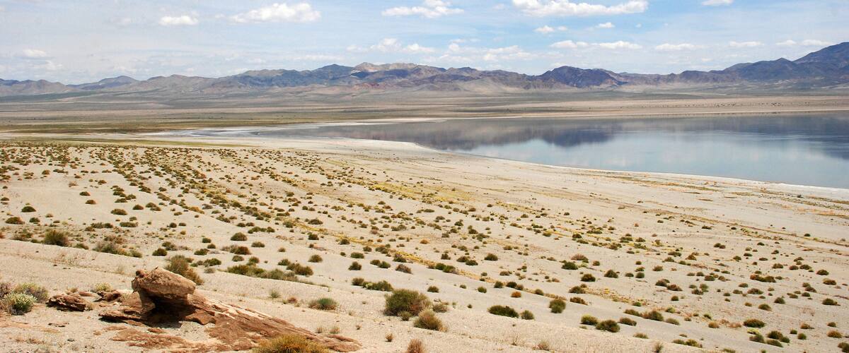 A vast desert landscape with sparse vegetation, a large body of water, and distant mountains.
