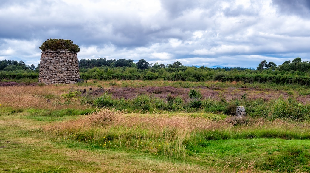 Culloden Moor
