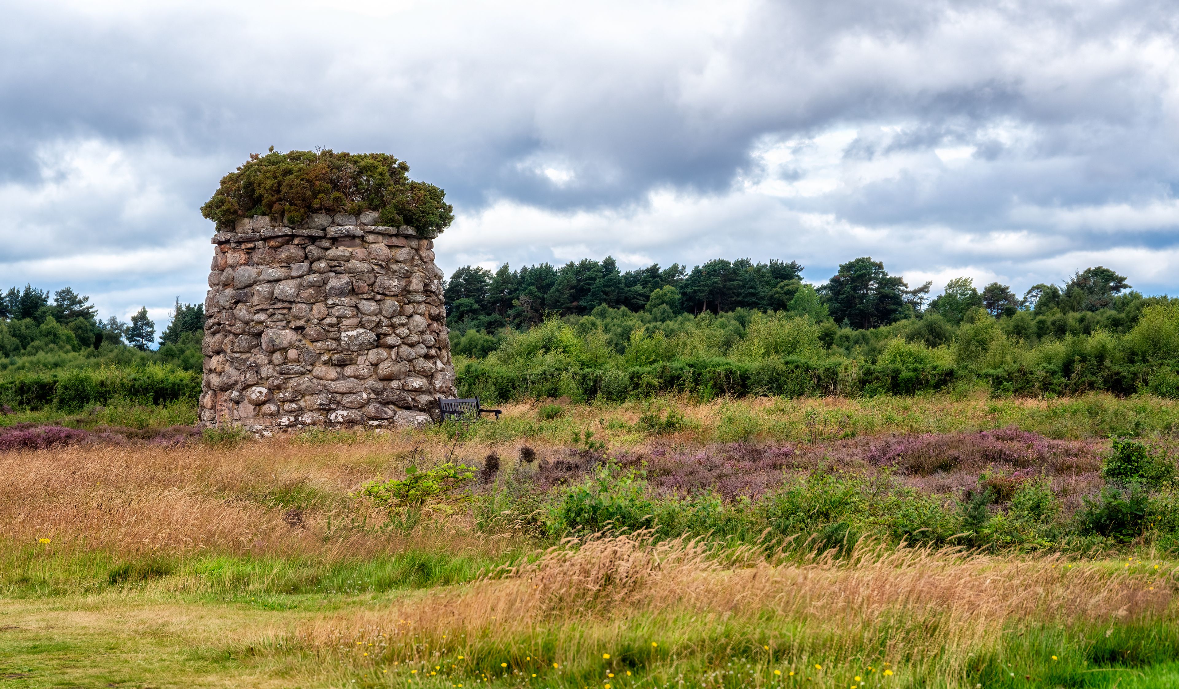 Una estructura de piedra con vegetación en la parte superior, rodeada por un campo de diversas hierbas y flores silvestres, y un bosque al fondo.
