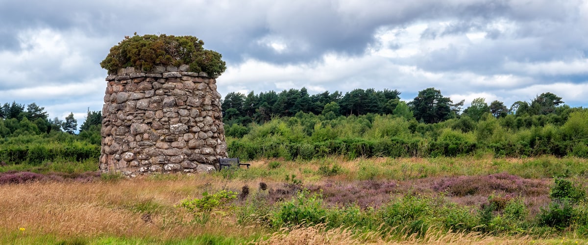 Una estructura de piedra con vegetación en la parte superior, rodeada por un campo de diversas hierbas y flores silvestres, y un bosque al fondo.