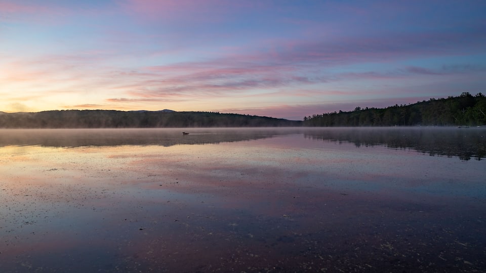 A calm lake at sunrise with mist over the water and a forested hill in the background.