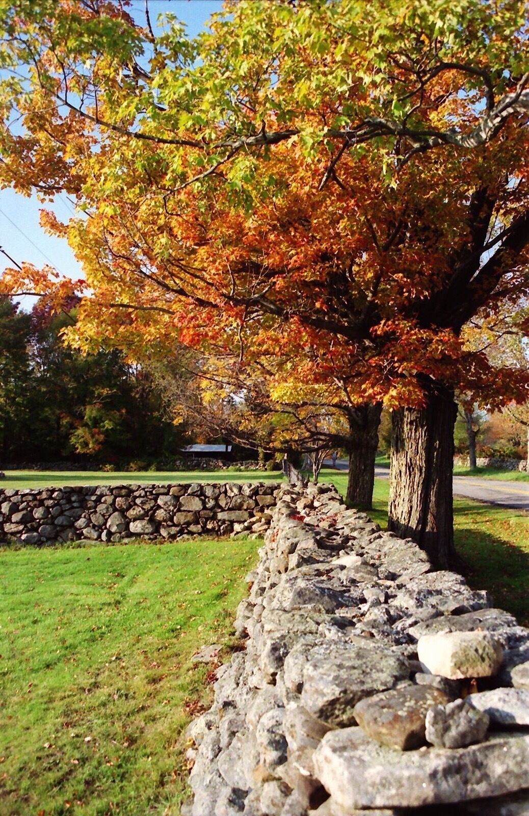 New Hampshire is my favorite place to go for fall coloring.  The area around the Canterbury Shaker Village has so much charm!