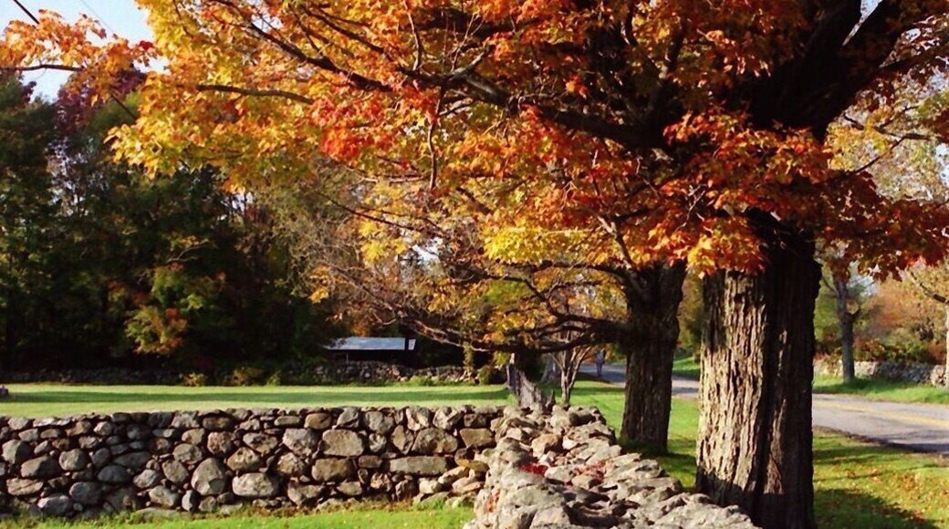 New Hampshire is my favorite place to go for fall coloring. The area around the Canterbury Shaker Village has so much charm!