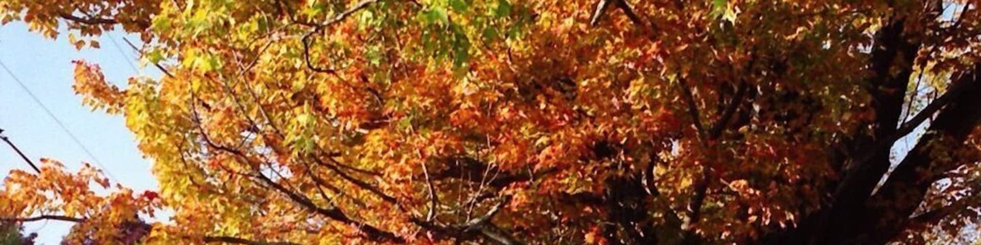 New Hampshire is my favorite place to go for fall coloring. The area around the Canterbury Shaker Village has so much charm!