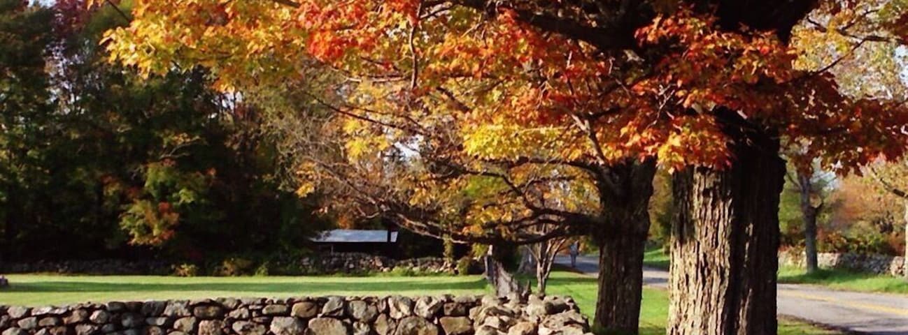 New Hampshire is my favorite place to go for fall coloring. The area around the Canterbury Shaker Village has so much charm!