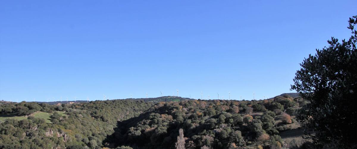A hilly landscape with dense vegetation and wind turbines in the distance.