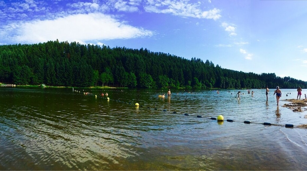 Excellent day out especially in case of heat wave. Great natural pool to enjoy as well (for a fee) but the lake is good enough and for free! #lake #kids
