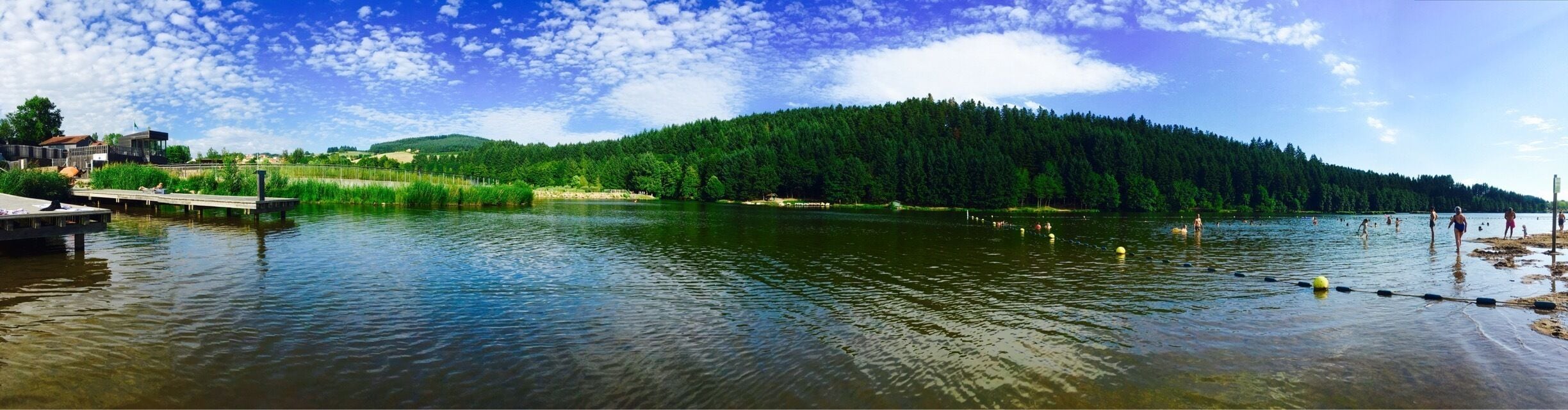 A calm lake with a dock, surrounded by dense forest and a clear sky.