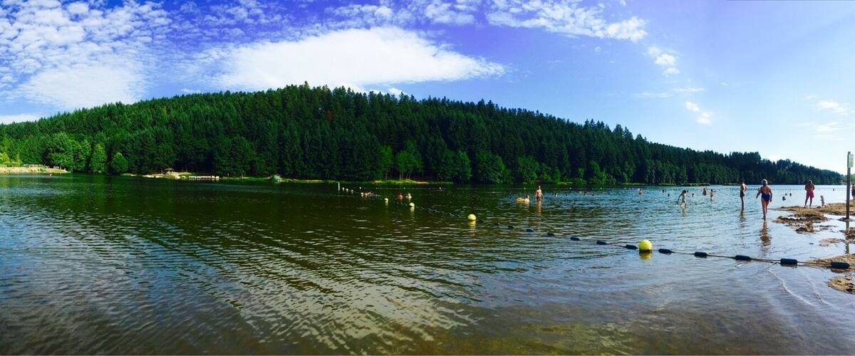 A calm lake with a dock, surrounded by dense forest and a clear sky.