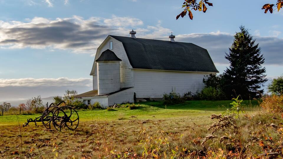 A white barn with a black roof, surrounded by a grassy field and a large tree.