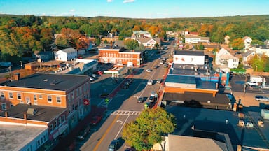 A town with a central street, buildings, and a forested hill in the background.