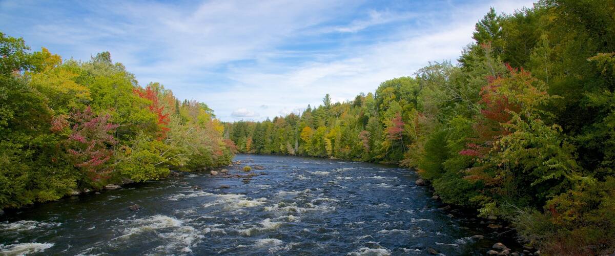 New Hampshire mostrando un río o arroyo y escenas forestales