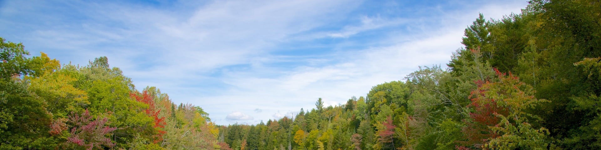 New Hampshire montrant scĂšnes forestiĂšres et riviĂšre ou ruisseau