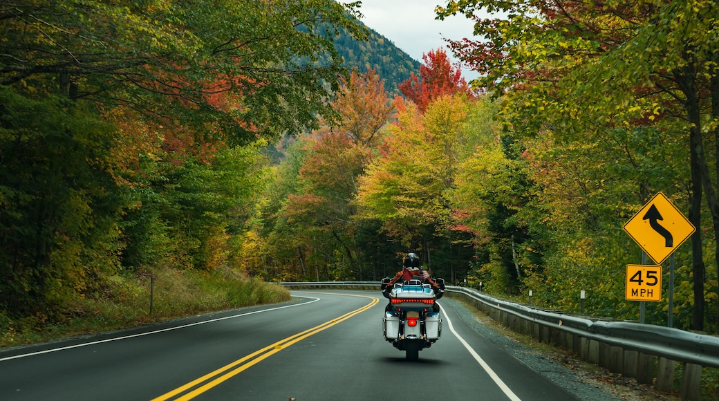 Motorcycle driving on the road on the White Mountains