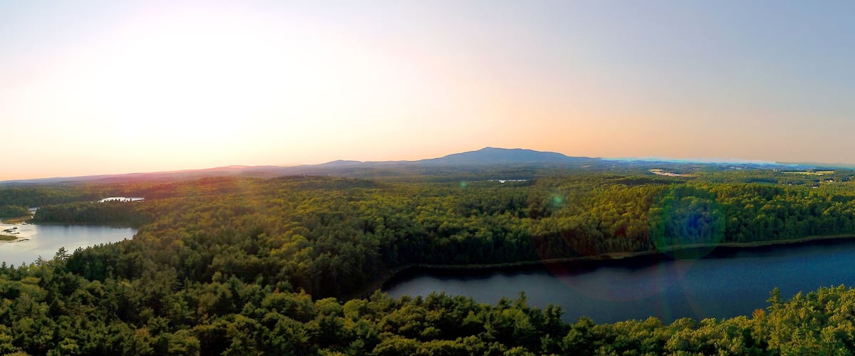 A forested landscape with a lake and a mountain in the distance.