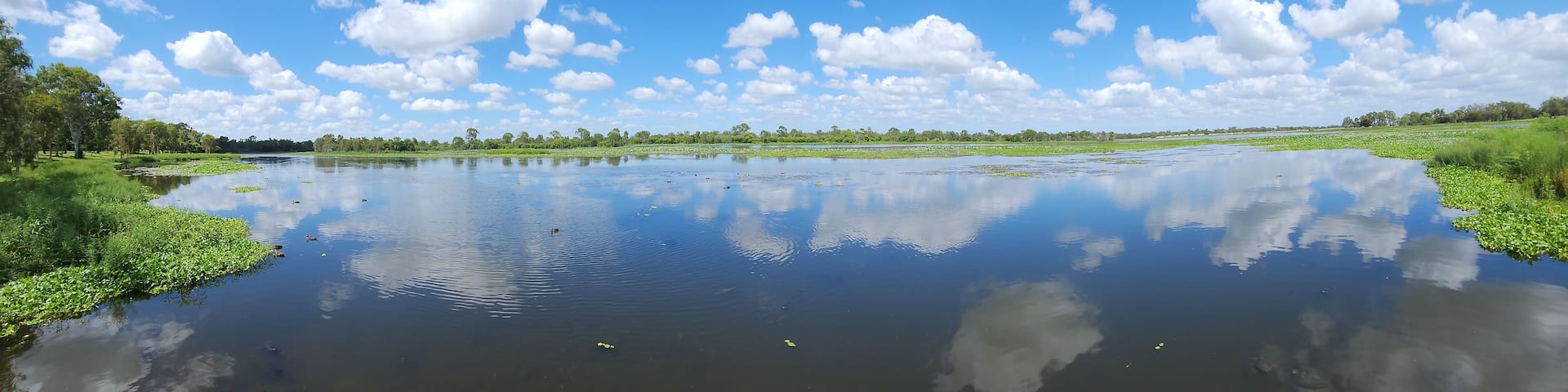 A calm lake with reflections of the sky and clouds, surrounded by greenery and trees.