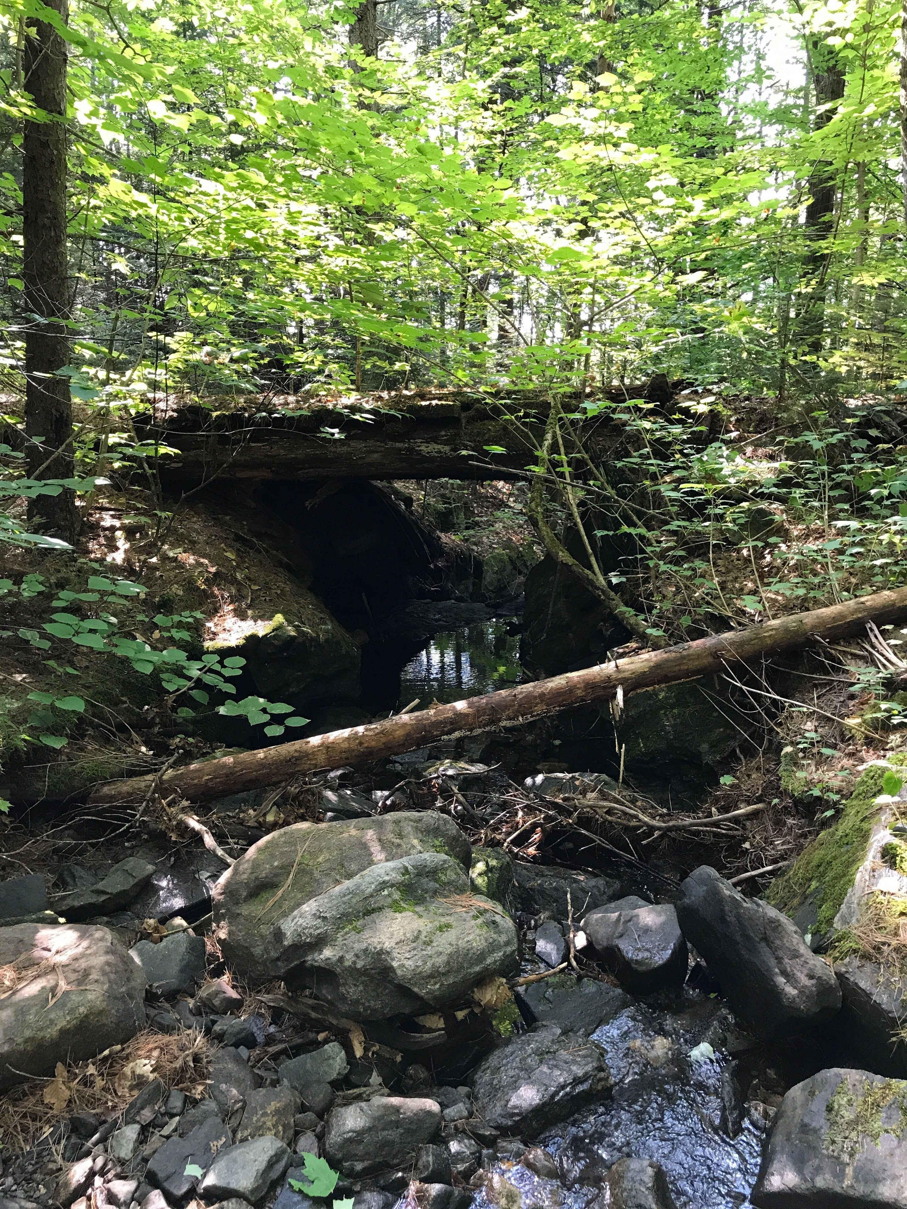I was out hiking with a friend of mine around Butternut Pond in Grantham, NH and came across this old logging road bridge.
#TakeAHike