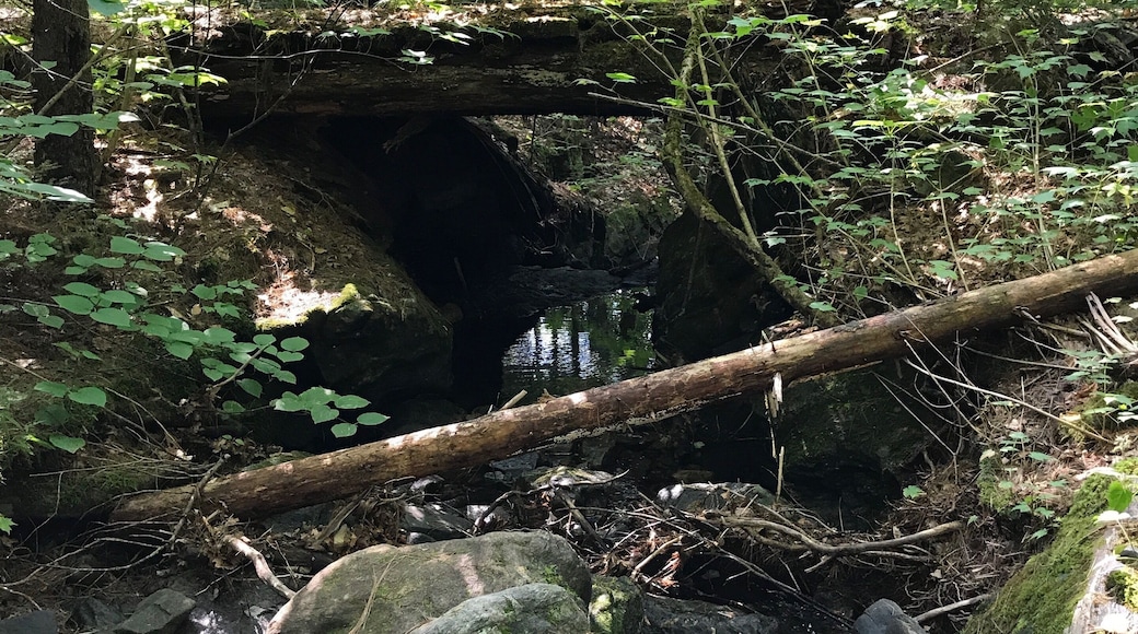 I was out hiking with a friend of mine around Butternut Pond in Grantham, NH and came across this old logging road bridge.
#TakeAHike