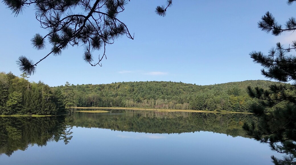 A wonderful short hike to a very secluded pond in Grantham, NH in late summer.
#TakeAHike