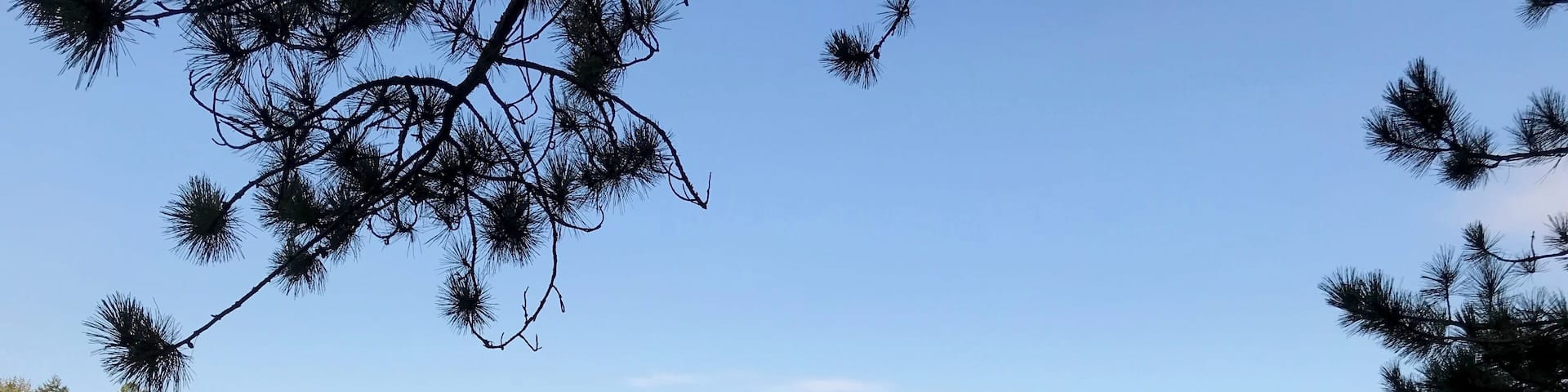 A wonderful short hike to a very secluded pond in Grantham, NH in late summer.
#TakeAHike