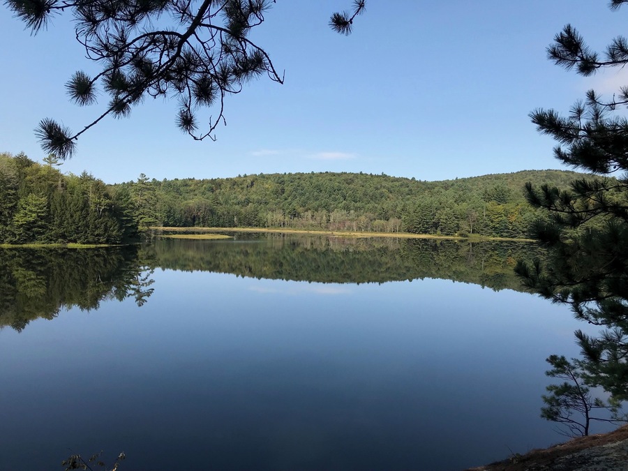 A wonderful short hike to a very secluded pond in Grantham, NH in late summer.
#TakeAHike