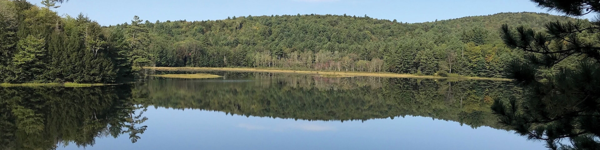 A wonderful short hike to a very secluded pond in Grantham, NH in late summer.
#TakeAHike