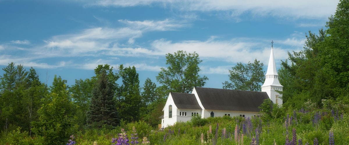 A white church with a steeple surrounded by lush greenery and purple lupine flowers.