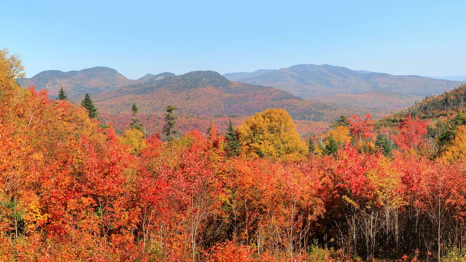 White mountain national forest in New Hampshire